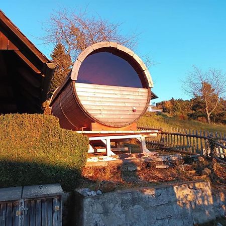 Villa Ferienhaus Almzeit Koralpe à Rieding Extérieur photo