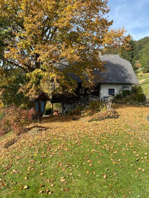 Villa Ferienhaus Almzeit Koralpe à Rieding Extérieur photo